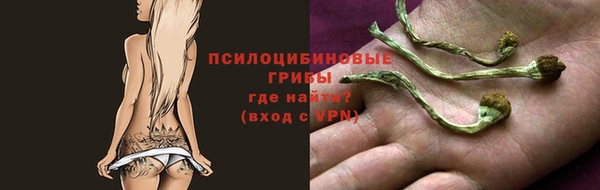 бошки Абаза