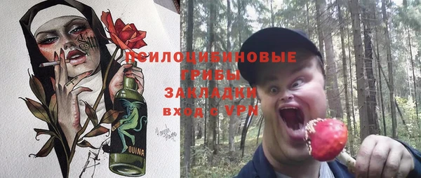 бошки Абаза
